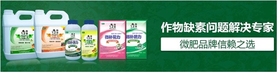 #微肥課堂#為什么葉面肥養(yǎng)分含量相同，效果卻不同？